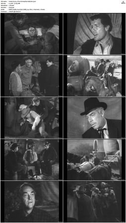 Wagon Train S01-S08 DVDRip XviD-cOOt