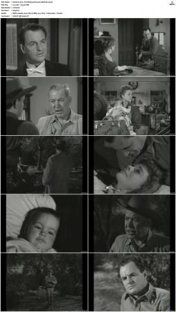 Wagon Train S01-S08 DVDRip XviD-cOOt