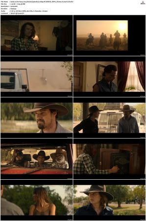 Territory 2024 S01 1080p NF WEB-DL DDP5 1 Atmos H 264-FLUX
