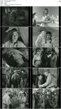 Wagon Train S01-S08 DVDRip XviD-cOOt