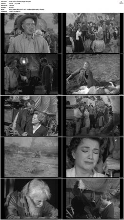 Wagon Train S01-S08 DVDRip XviD-cOOt