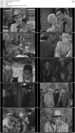 Wagon Train S01-S08 DVDRip XviD-cOOt