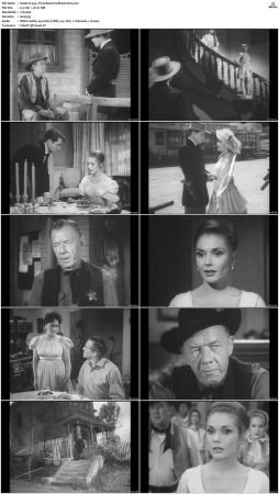 Wagon Train S01-S08 DVDRip XviD-cOOt