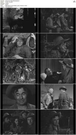 Wagon Train S01-S08 DVDRip XviD-cOOt