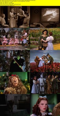The Wizard Of Oz 1939 75th Anniversary Edition 1080p BluRay x264-88