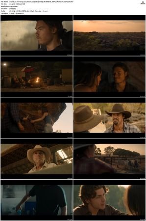 Territory 2024 S01 1080p NF WEB-DL DDP5 1 Atmos H 264-FLUX