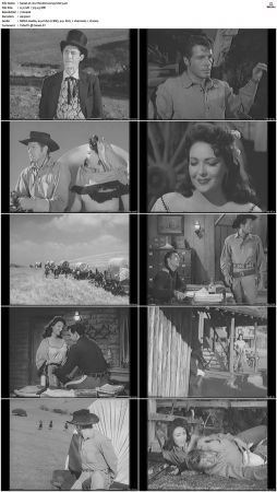 Wagon Train S01 S08 DVDRip XviD-cOOt