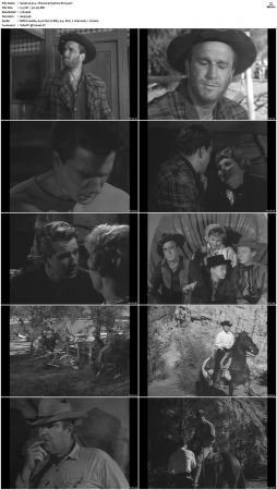 Wagon Train S01-S08 DVDRip XviD-cOOt