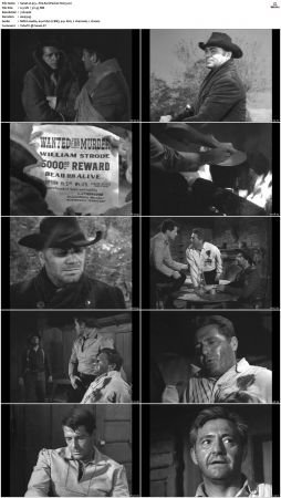 Wagon Train S01-S08 DVDRip XviD-cOOt