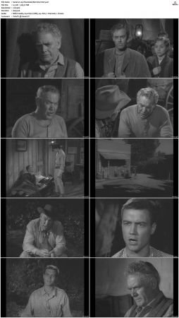 Wagon Train S01-S08 DVDRip XviD-cOOt