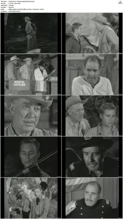 Wagon Train S01-S08 DVDRip XviD-cOOt