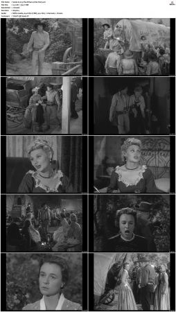 Wagon Train S01-S08 DVDRip XviD-cOOt