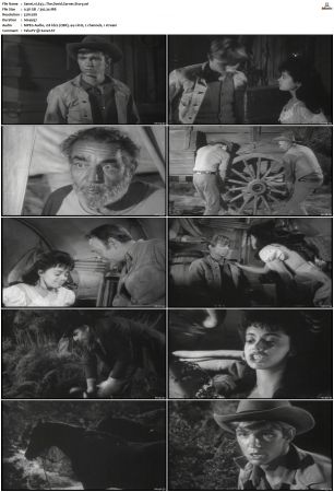 Wagon Train S01-S08 DVDRip XviD-cOOt