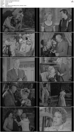 Wagon Train S01-S08 DVDRip XviD-cOOt