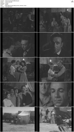 Wagon Train S01-S08 DVDRip XviD-cOOt