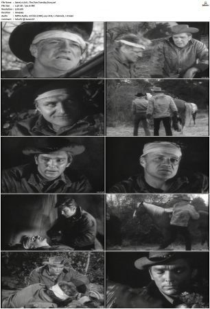 Wagon Train S01-S08 DVDRip XviD-cOOt