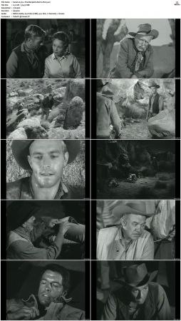 Wagon Train S01-S08 DVDRip XviD-cOOt