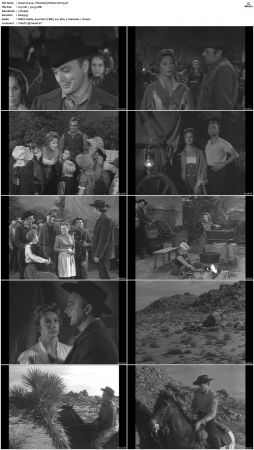 Wagon Train S01-S08 DVDRip XviD-cOOt