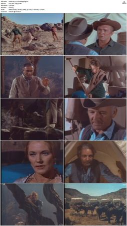 Wagon Train S01-S08 DVDRip XviD-cOOt