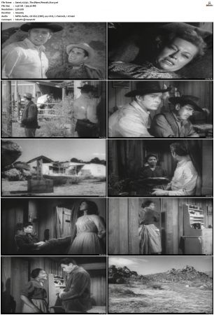 Wagon Train S01-S08 DVDRip XviD-cOOt