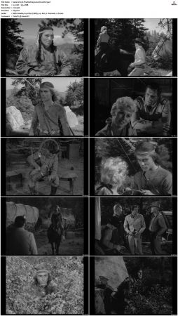 Wagon Train S01-S08 DVDRip XviD-cOOt