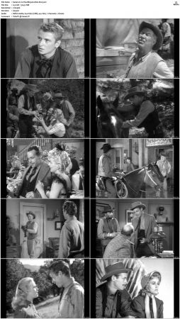 Wagon Train S01 S08 DVDRip XviD-cOOt