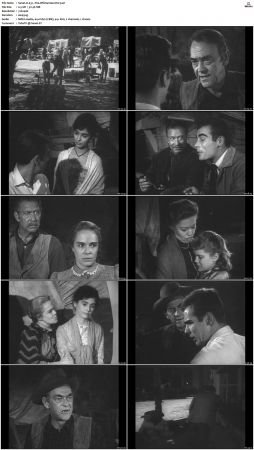 Wagon Train S01-S08 DVDRip XviD-cOOt