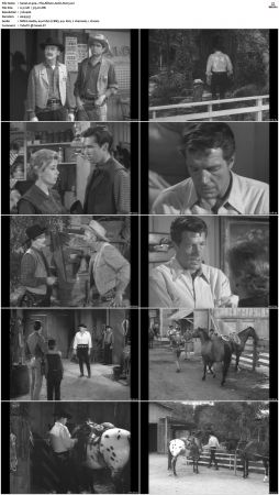 Wagon Train S01-S08 DVDRip XviD-cOOt