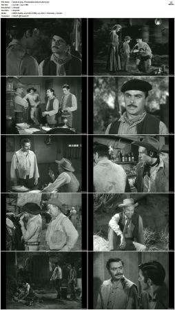 Wagon Train S01-S08 DVDRip XviD-cOOt