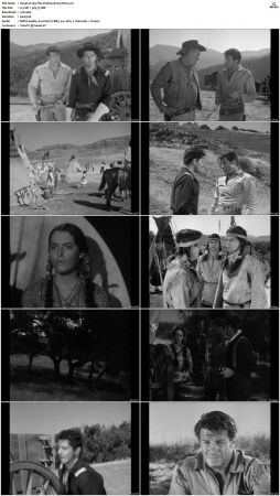 Wagon Train S01 S08 DVDRip XviD-cOOt