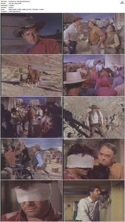 Wagon Train S01-S08 DVDRip XviD-cOOt