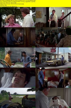 Walking Tall 1973 720p PTV WEB-DL AAC 2.0 H264-PiRaTeS