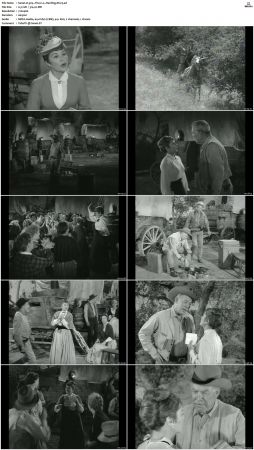 Wagon Train S01-S08 DVDRip XviD-cOOt