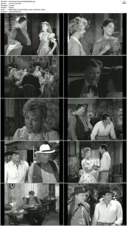 Wagon Train S01-S08 DVDRip XviD-cOOt