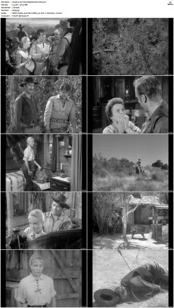 Wagon Train S01 S08 DVDRip XviD-cOOt