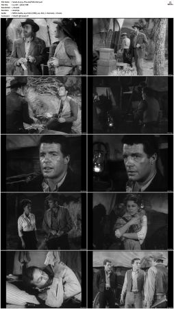 Wagon Train S01-S08 DVDRip XviD-cOOt