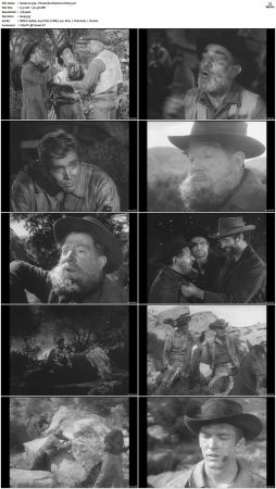 Wagon Train S01-S08 DVDRip XviD-cOOt