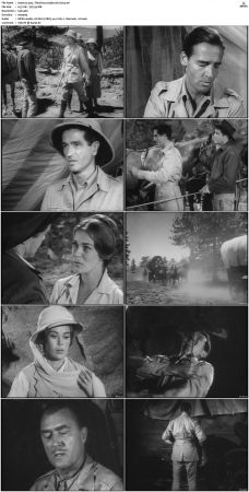 Wagon Train S01-S08 DVDRip XviD-cOOt
