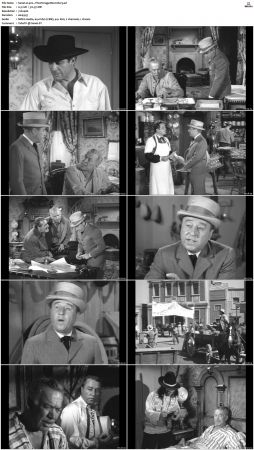Wagon Train S01-S08 DVDRip XviD-cOOt
