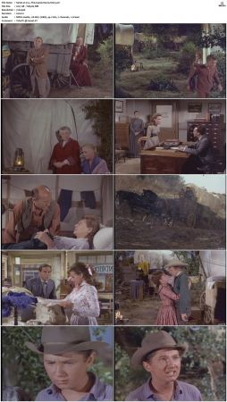 Wagon Train S01-S08 DVDRip XviD-cOOt