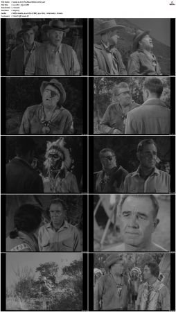 Wagon Train S01-S08 DVDRip XviD-cOOt