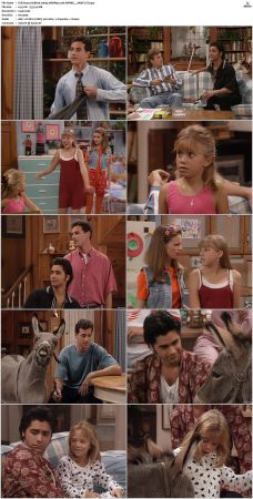 Full House S01-S08 1080p WEBRip x265-RARBG