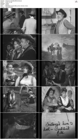 Wagon Train S01-S08 DVDRip XviD-cOOt