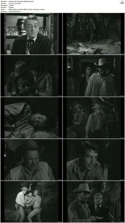 Wagon Train S01-S08 DVDRip XviD-cOOt