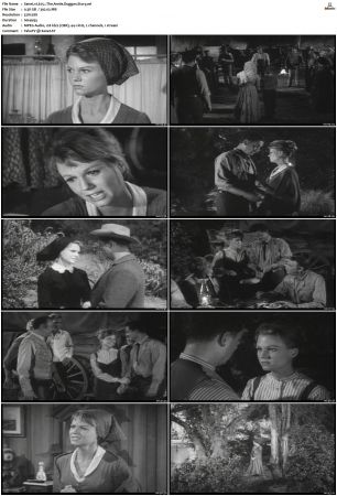 Wagon Train S01-S08 DVDRip XviD-cOOt