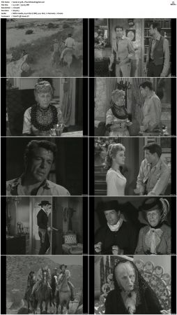 Wagon Train S01-S08 DVDRip XviD-cOOt