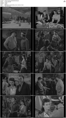 Wagon Train S01-S08 DVDRip XviD-cOOt