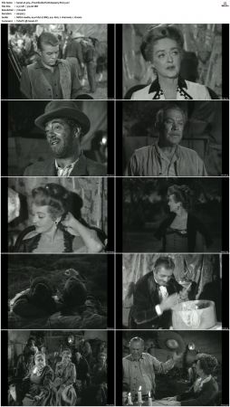 Wagon Train S01-S08 DVDRip XviD-cOOt