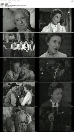 Wagon Train S01-S08 DVDRip XviD-cOOt