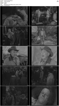 Wagon Train S01-S08 DVDRip XviD-cOOt